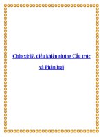 Chíp xử lý, điều khiển nhúng Cấu trúc và Phân loại docx