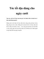 Tóc tết dịu dàng cho ngày cưới pdf