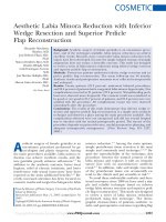 Aesthetic Labia Minora Reduction with Inferior Wedge Resection and Superior Pedicle Flap Reconstruction pot