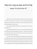 Phân tích vẻ đẹp của nhân vật Pê-Nê-Nốp trong 