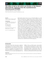 Báo cáo khoa học: The effect of pH on the initial rate kinetics of the dimeric biliverdin-IXa reductase from the cyanobacterium Synechocystis PCC6803 pptx