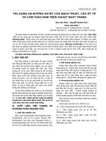 TÁC DỤNG HẠ ĐƯỜNG HUYẾT CỦA BẠCH TRUẬT, CÂU KỶ TỬ VÀ CAM THẢO NAM TRÊN CHUỘT NHẮT TRẮN ppt