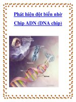 Phát hiện đột biến nhờ Chip ADN (DNA chip) pptx