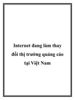 Internet đang làm thay đổi thị trường quảng cáo tại Việt Nam pot