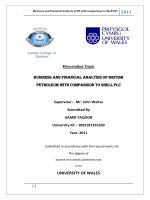 BUSINESS AND Financial analysis OF BRITISH  PETROLEUM WITH COMPARISON TO SHELL PLC