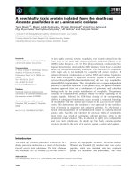 Báo cáo khoa học: A new highly toxic protein isolated from the death cap Amanita phalloides is an L-amino acid oxidase pdf