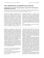 Báo cáo Y học: Ruk is ubiquitinated but not degraded by the proteasome ppt