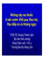 Những cây rau thuốc ở sân vườn: Khổ qua, Rau má, Rau diếp cá và Hoàng ngọc - PGS.TS. Dương Thanh Liêm potx