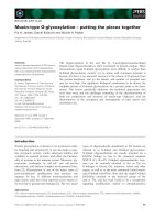 Báo cáo khoa học: Mucin-type O-glycosylation – putting the pieces together docx