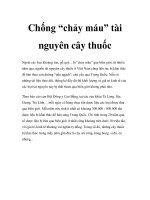 Chống “chảy máu” tài nguyên cây thuốc pot