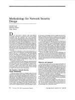 Methodology for Network Security Design pot
