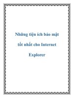 Những tiện ích bảo mật tốt nhất cho Internet Explorer pot