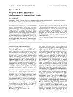 Báo cáo khoa học: Weapons of STAT destruction Interferon evasion by paramyxovirus V proteins ppt