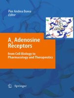 A3 Adenosine Receptors from Cell Biology to Pharmacology and Therapeutics pdf