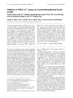 Báo cáo Y học: Inhibition of SERCA Ca2+ pumps by 2-aminoethoxydiphenyl borate (2-APB) 2-APB reduces both Ca2+ binding and phosphoryl transfer from ATP, by interfering with the pathway leading to the Ca2+-binding sites ppt