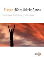 11 Examplesof Online Marketing Success From Contests to Website Redesign Success Stories doc