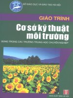 Giáo trình cơ sở kỹ thuật môi trường