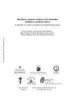 Working to support orphans and vulnerable children in southern Africa pdf