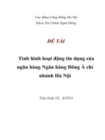 ĐỀ TÀI : Tình hình hoạt động tín dụng của ngân hàng Ngân hàng Đông Á chi nhánh Hà Nội pot