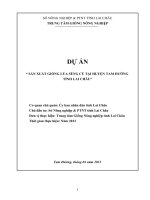 Đề tài: SẢN XUẤT GIỐNG LÚA SÉNG CÙ TẠI HUYỆN TAM ĐƯỜNG TỈNH LAI CHÂU pot