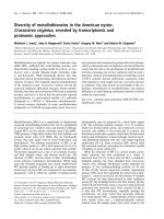 Báo cáo khoa học: Diversity of metallothioneins in the American oyster, Crassostrea virginica, revealed by transcriptomic and proteomic approaches potx