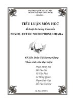 PIEZOELECTRIC MICROPHONE 2510M4A pot