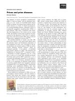 Báo cáo khoa học: Prions and prion diseases docx