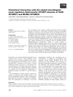 Báo cáo khoa học: Cholesterol interaction with the related steroidogenic acute regulatory lipid-transfer (START) domains of StAR (STARD1) and MLN64 (STARD3) ppt