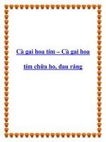 Cà gai hoa tím – Cà gai hoa tím chữa ho, đau răng potx