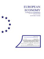 STEPS TOWARDS A DEEPER ECONOMIC INTEGRATION: THE INTERNAL MARKET IN THE 21ST CENTURY pot