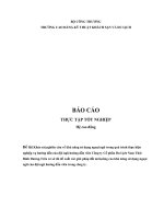 khảo sát, nghiên cứu, về các chương trinh city tour của công ty cổ phần đầu tư và xúc tiến thương mại âu lạc