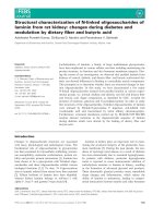Báo cáo khoa học: Structural characterization of N-linked oligosaccharides of laminin from rat kidney: changes during diabetes and modulation by dietary ﬁber and butyric acid pdf