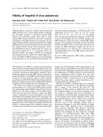 Báo cáo khoa học: Fidelity of hepatitis B virus polymerase pptx