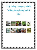 11 ý tưởng trồng cây cảnh ''''không đụng hàng'''' mà ít tiền pdf