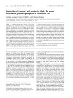 Báo cáo khoa học: Connection of transport and sensing by UhpC, the sensor for external glucose-6-phosphate in Escherichia coli ppt