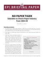 NO PAPER TIGER Subsidies to China’s Paper Industry From 2002-09 doc