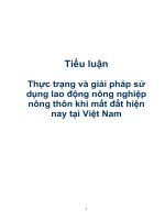 Tiểu luận Thực trạng và giải pháp sử dụng lao động nông nghiệp nông thôn khi mất đất hiện nay tại Việt Nam pptx