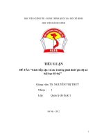 ĐỀ TÀI: “Cách tiếp cận và các trường phái dưới góc độ xã hội học đô thị ” pot