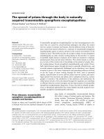 Báo cáo khoa học: The spread of prions through the body in naturally acquired transmissible spongiform encephalopathies ppt