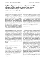 Báo cáo Y học: Regulation of glypican-1, syndecan-1 and syndecan-4 mRNAs expression by follicle-stimulating hormone, cAMP increase and calcium inﬂux during rat Sertoli cell development pptx