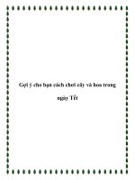 Gợi ý cho bạn cách chơi cây và hoa trong ngày Tết pdf