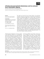 Báo cáo khoa học: 2-Hydroxyisocaproyl-CoA dehydratase and its activator from Clostridium difﬁcile pdf