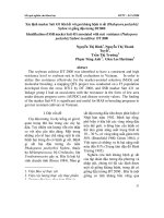 Xác định macker Satt 431 liên kết với gen kháng bệnh rỉ sắt (Phakopsora pachyrhizi Sydow) ở giống đậu tương ĐT2000 potx