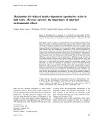 Mechanisms for delayed density-dependent reproductive traits in ﬁeld voles, Microtus agrestis: the importance of inherited environmental effects doc