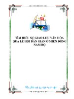 TÌM HIỂU SỰ GIAO LƯU VĂN HÓA QUA LỄ HỘI DÂN GIAN Ở MIỀN ĐÔNG NAM BỘ doc