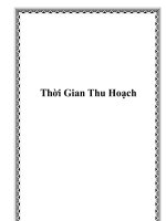 Thời Gian Thu Hoạch ppt