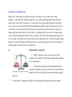 Copyleft và tính hữu ích doc