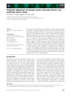 Báo cáo khoa học: Catalytic digestion of human tumor necrosis factor-a by antibody heavy chain pot