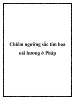 Chiêm ngưỡng sắc tím hoa oải hương ở Pháp ppt