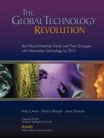 The Global Technology Revolution - Bio-Nano-Materials Trends and Their Synergies with Information Technology by 2015 pot